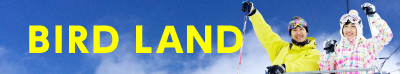 BIRD LAND